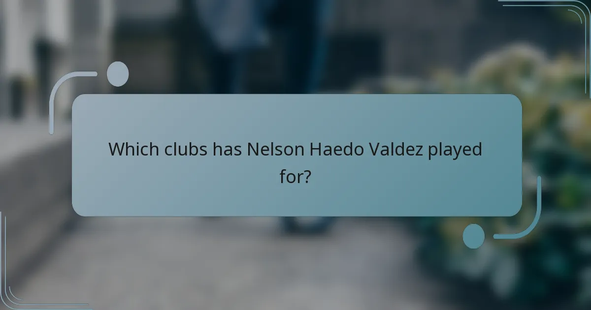 Which clubs has Nelson Haedo Valdez played for?
